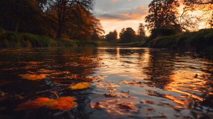 A calm river reflecting golden sunset light