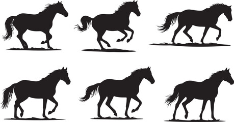 Fototapeta premium Six Silhouettes of Horses in Different Poses and Gaits Keywords: horse, equine, animal, silhouette, black and white, running, trotting
