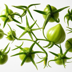 Illustration of overhead shot of fresh green tomatoes isolated on white background