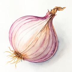 Beautiful Watercolor Illustration of a Single Red Onion with Delicate Roots and Top Stem Perfect for Culinary Designs and Food Art Projects
