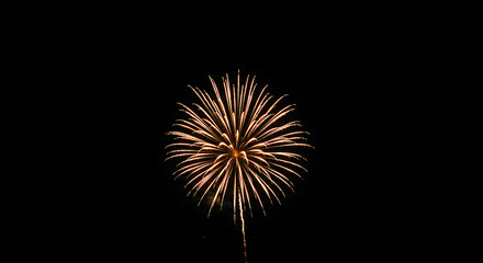 Obraz premium Golden Fireworks Display Against a Black Night Sky.