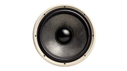One speaker, white background --ar 16:9