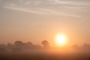 A tranquil and serene sunrise beautifully illuminating a foggy landscape with silhouetted trees peeking through