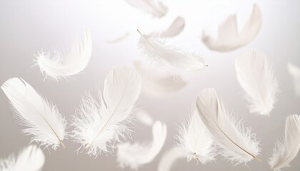 Delicate Floating White Feathers