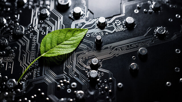 Nature Meets Technology &ndash; Green Leaf Integrated into Circuit Board Symbolizing Sustainable Innovation