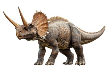 Fototapeta premium Dinosaur animal illustration prehistoric.