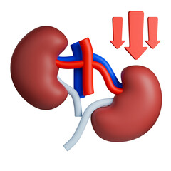 Nephroptosis 3d illustration with kidneys and downward arrows showing abnormal kidney drop in position.