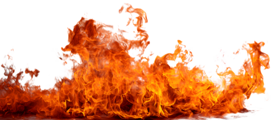 Vibrant, dynamic flames blaze with intense heat and light, perfect for creating powerful visual effects and conveying passion or energy.