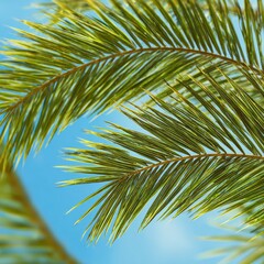 Close-up palm fronds against a vibrant blue sky