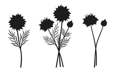 Set of two silhouette bouquets of nigella flowers. Bunches of blooming perennial wild plants with leaves, minimal style. Botanical elements for design projects. Vector illustration