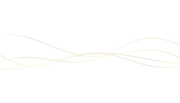 Abstract Golden Wavy Lines, Flowing Curves with Different Tones on White Background, Vector Illustration