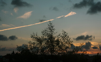 Silhouette of tree with dramatic sunset sky and scattered clouds