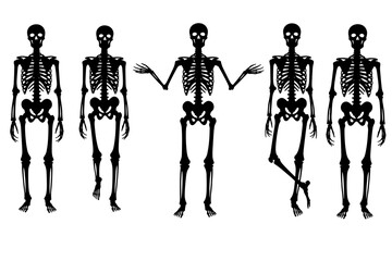 Halloween skeleton silhouette