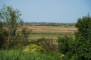 Stunning lush green landscape, with green trees and bushes in the foreground