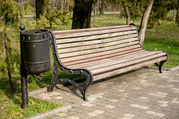 Close-up view of a wooden park bench, surrounded by grass and trees in a city park.