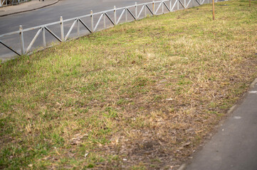flower bed with grass and low fence