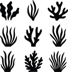 Fototapeta premium Ocean plants marine foliage vector set