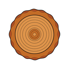 Fototapeta premium Wood grain rings and texture slice tree rings natural