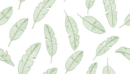 Fototapeta premium Green Banana Leaves Pattern on White Background, Tropical Foliage Design, Seamless Vector Illustration
