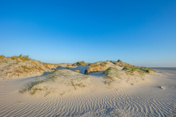 Fanø summer 2024, Denmark - Sand dunes with grass and blue sky on the Danish island, Fanø