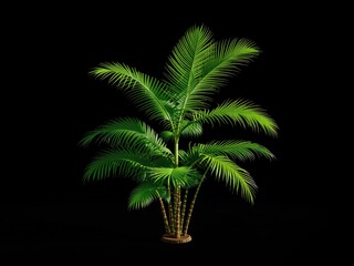 Modern Dypsis Decaryi Palm Tree, 3D Illustration for Design