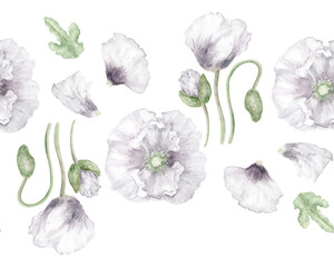 White Watercolor Poppy Seamless Floral Border. Delicate white poppy flowers in a hand-painted watercolor seamless border. Ideal for ethereal designs, nature stationery, and soft botanical themes