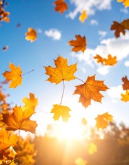 Obraz premium Autumn leaves flying in the wind