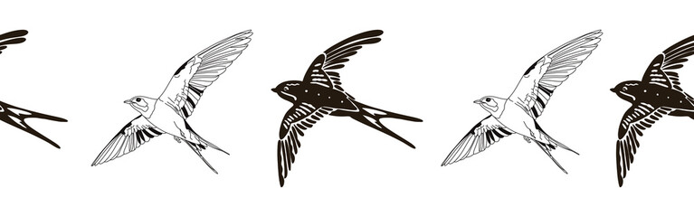 Border icon border. Bird feather silhouette symbol. Bird border isolated on white background