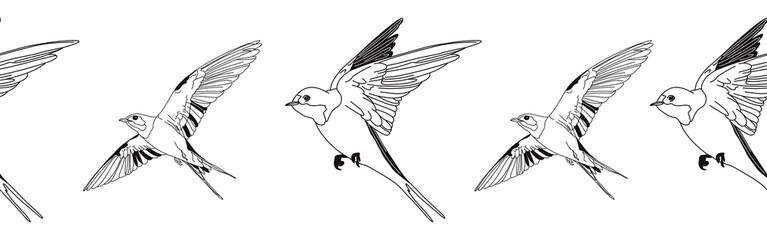 Border icon border. Bird feather silhouette symbol. Bird border isolated on white background