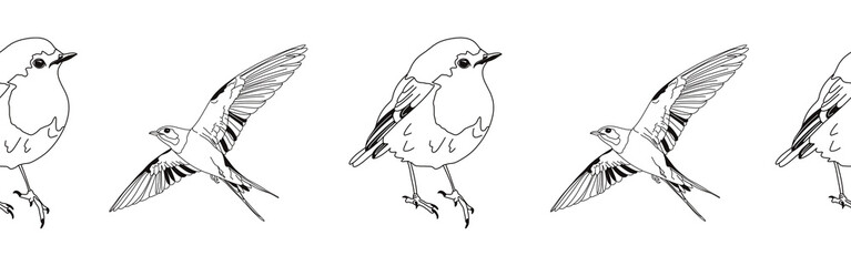 Border icon border. Bird feather silhouette symbol. Bird border isolated on white background