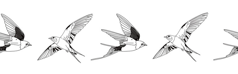 Border icon border. Bird feather silhouette symbol. Bird border isolated on white background