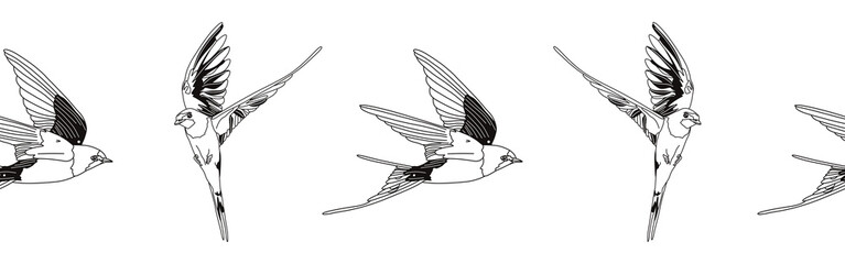 Border icon border. Bird feather silhouette symbol. Bird border isolated on white background