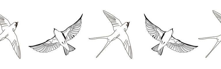 Border icon border. Bird feather silhouette symbol. Bird border isolated on white background