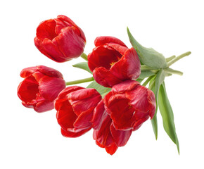 Bright red tulips bouquet for spring decoration and celebration