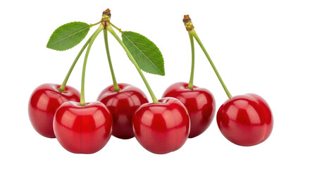 Isolated Ripe Cherries with Stems