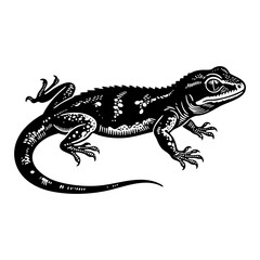 House lizard sketch engraving black and white outline. Scratch board imitation.