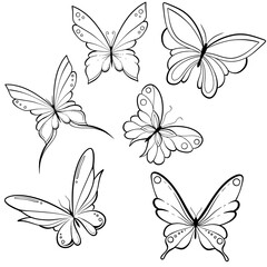 Obraz premium set of butterflies