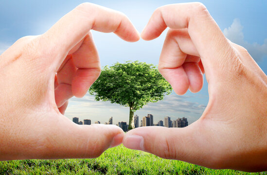 hand and tree