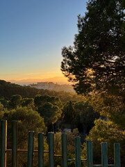 Peaceful Park Sunset - Serene Urban Nature Golden Hour Meditation Landscape