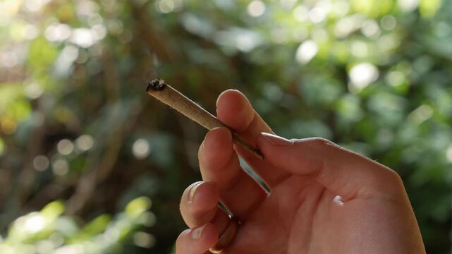 Close-up shot of a lit bidi or beedi in a woman hand. Thin cigarette filled with tobacco flake and commonly wrapped in a tendu Diospyros melanoxylon or Piliostigma racemosum leaf tied with a string or
