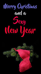 Celebrate love, joy, sparkle, passion, and fun