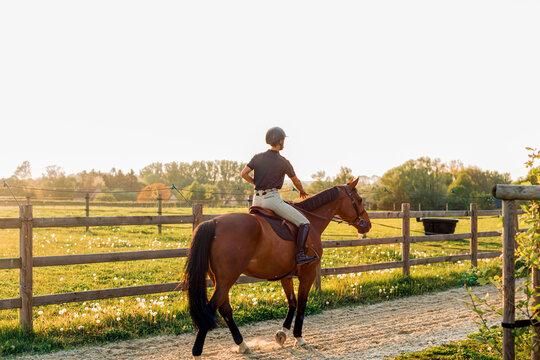 Horse rider training at sunset in paddock: equestrian sport and animal care