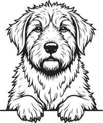 Briard Dog SVG EPS Line Art Peeking Dog Clipart, Vector Graphics, Sublimation, Digital Download Mug Printing Tshirts Design Mascot Tattoo Transparent Background
