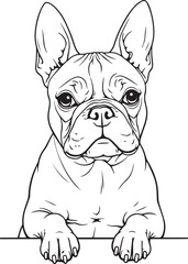 Boston Terrier Dog SVG EPS Line Art Peeking Dog Clipart, Vector Graphics, Sublimation, Digital Download Mug Printing Tshirts Design Mascot Tattoo Transparent Background