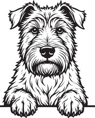 Black Russian Terrier Dog SVG EPS Line Art Peeking Dog Clipart, Vector Graphics, Sublimation, Digital Download Mug Printing Tshirts Design Mascot Tattoo Transparent Background