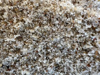 Macro Close-Up of Wet White Sand Grains on a Baltic Sea Beach in Lithuania – Beautiful Natural Texture and Colors for Backgrounds