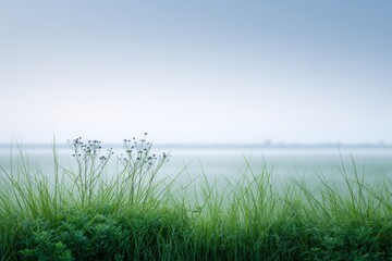 Lush green grass with delicate wildflowers swaying gently in the breeze against a serene blue sky, capturing the essence of nature's tranquility