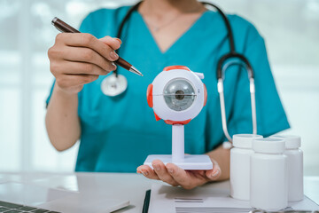 A physician performing an eye examination using an anatomical eye model and providing professional...