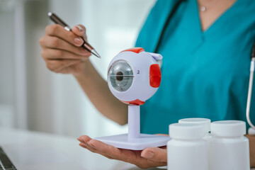 A physician performing an eye examination using an anatomical eye model and providing professional consultation and treatment in a medical setting to ensure proper diagnosis and vision care.