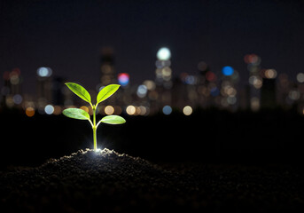 A small plant sprouts from the earth, with a blurred cityscape and bokeh lights creating a vibrant urban backdrop at night.